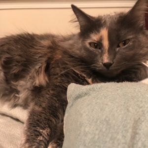 Meet your Posher, Corinne